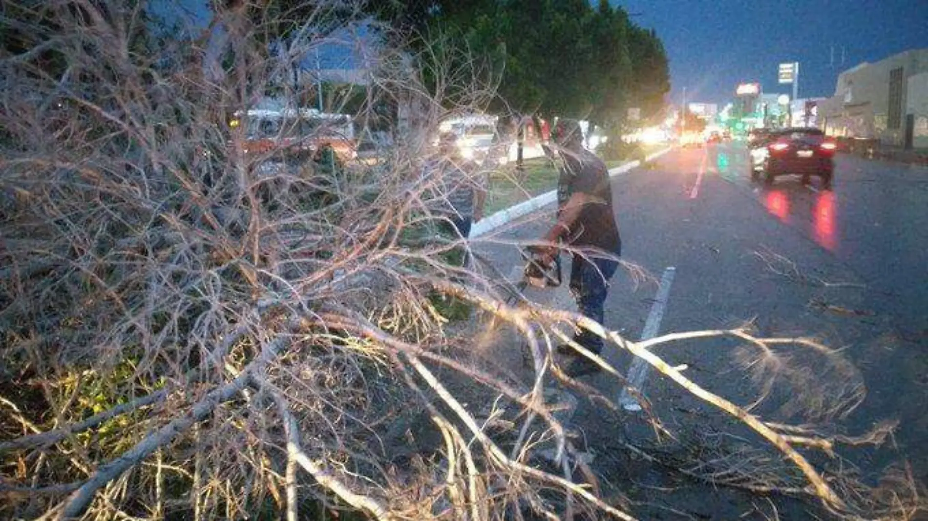 Lluvias-Hermosillo (3)